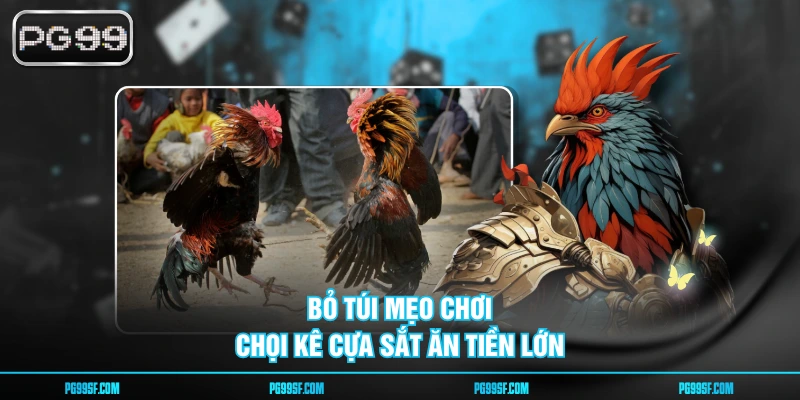 Bỏ túi mẹo chơi chọi kê cựa sắt ăn tiền lớn