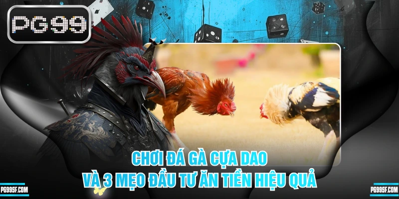 Chơi Đá Gà Cựa Dao Và 3 Mẹo Đầu Tư Ăn Tiền Hiệu Quả