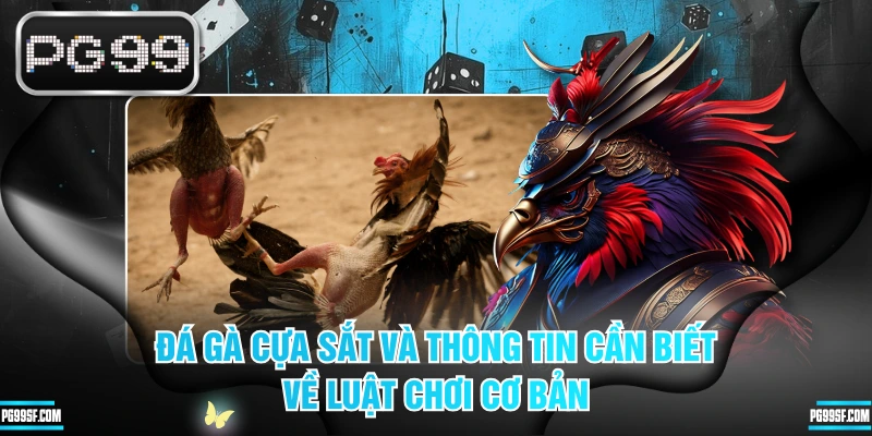 Đá Gà Cựa Sắt Và Thông Tin Cần Biết Về Luật Chơi Cơ Bản