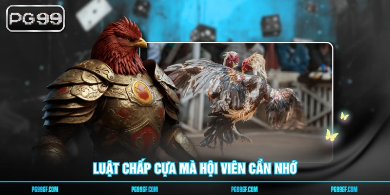 Luật chấp cựa mà hội viên cần nhớ