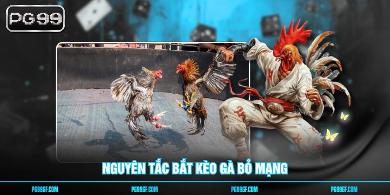 Nguyên tắc bắt kèo gà bỏ mạng