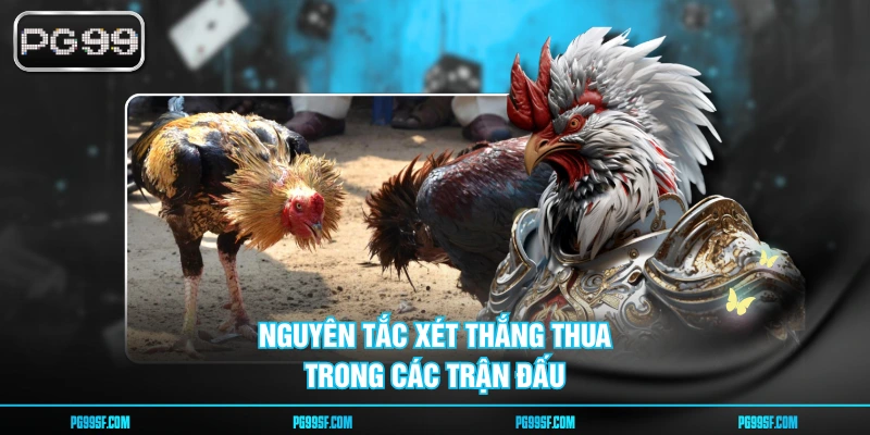Nguyên tắc xét thắng thua trong các trận đấu