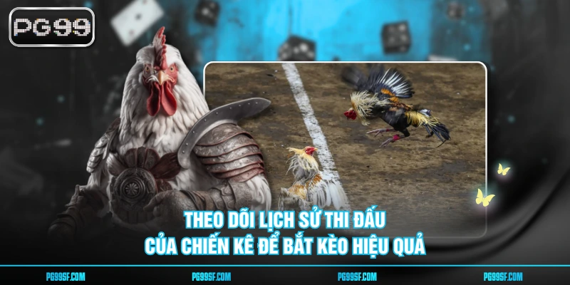 Theo dõi lịch sử thi đấu của chiến kê để bắt kèo hiệu quả