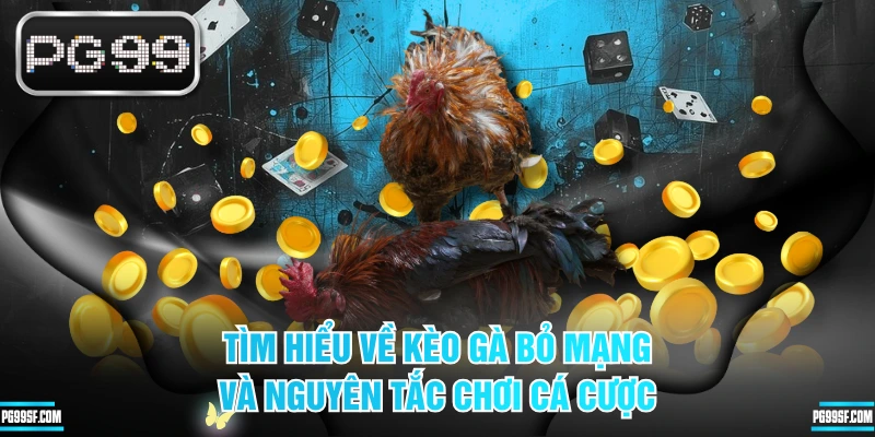 Tìm Hiểu Về Kèo Gà Bỏ Mạng Và Nguyên Tắc Chơi Cá Cược